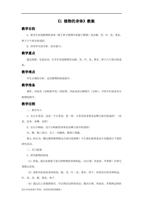 《 植物的身体》教案