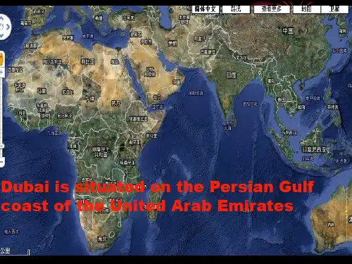 Crazy Dubai135页PPT