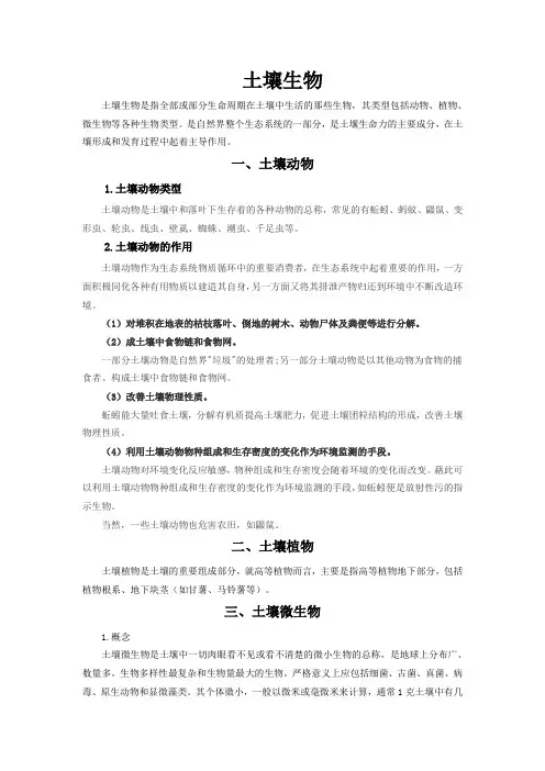 植物生产环境-土壤生物