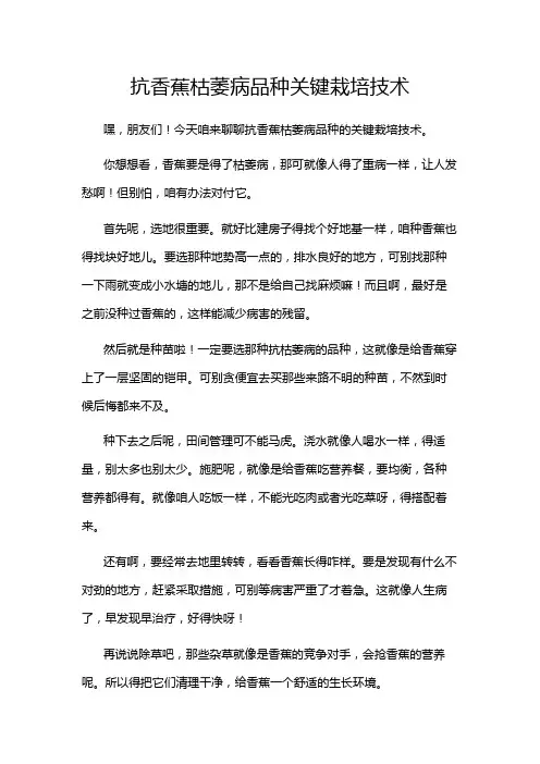 抗香蕉枯萎病品种关键栽培技术