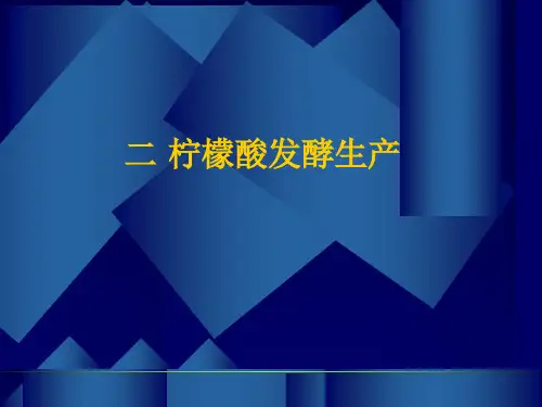 柠檬酸酒精等的发酵生产