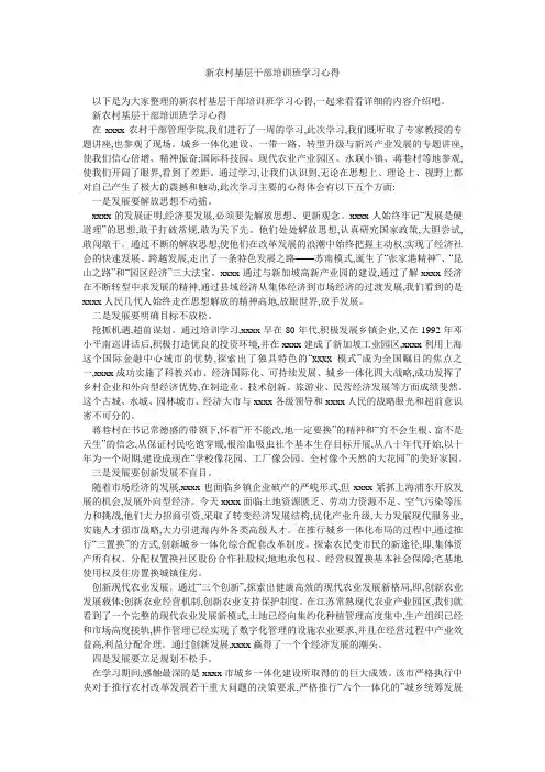 新农村基层干部培训班学习心得 