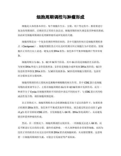 细胞周期调控与肿瘤形成