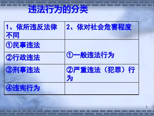 违法行为的分类ppt课件