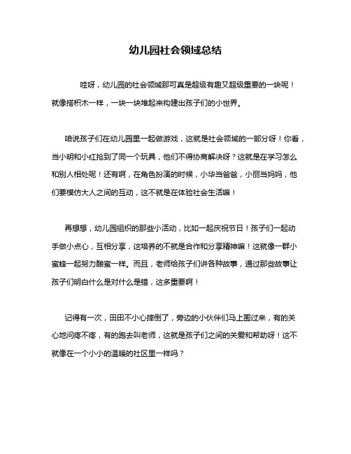幼儿园社会领域总结