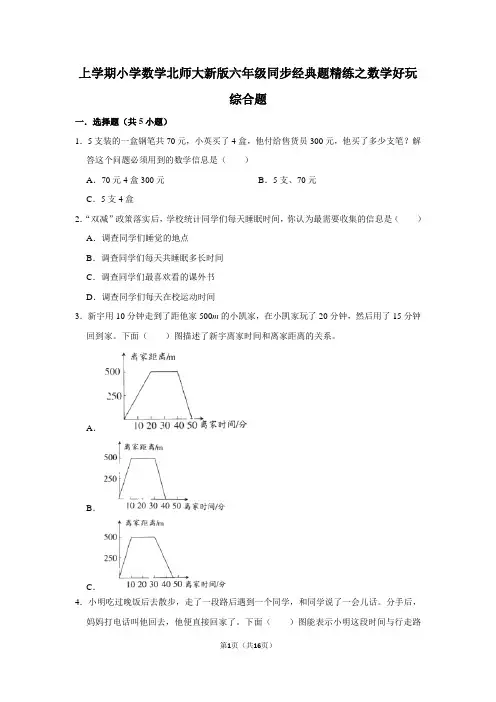 北师大版数学6年级上册 数学好玩 同步经典题精练(含解析)
