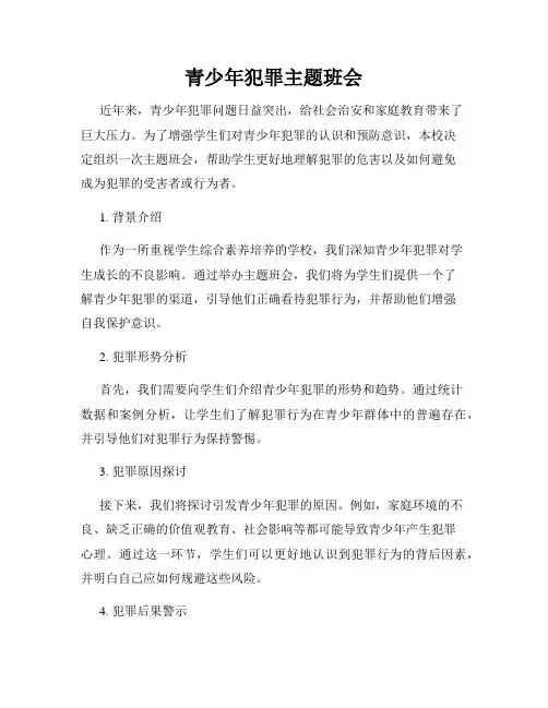 青少年犯罪主题班会