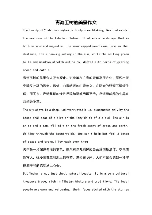 青海玉树的美景作文