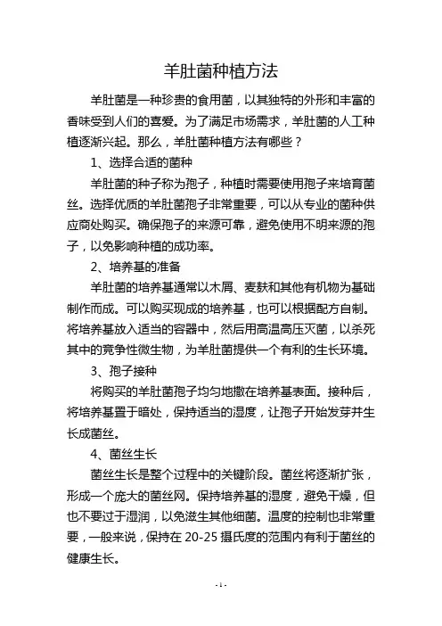 羊肚菌种植方法