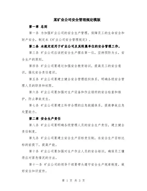 某矿业公司安全管理规定模版
