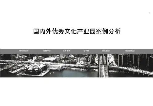 国内外产业园案例分析
