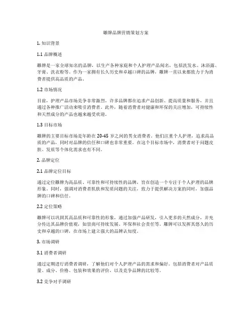 雕牌品牌营销策划方案