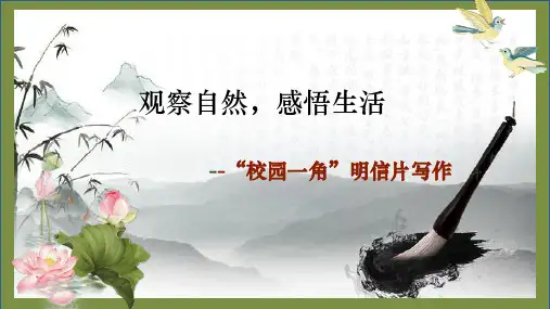第一单元写作：观察自然,感悟生活 课件(共26张ppt).ppt