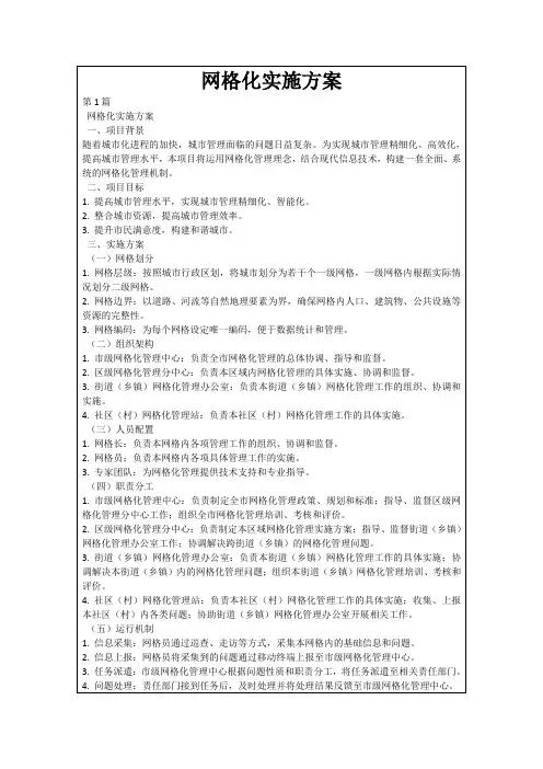 网格化实施方案