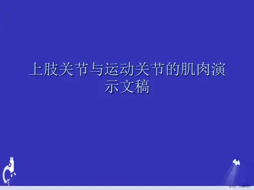 上肢关节与运动关节的肌肉演示文稿