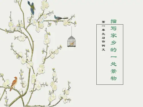 描写家乡的一处风景作文指导