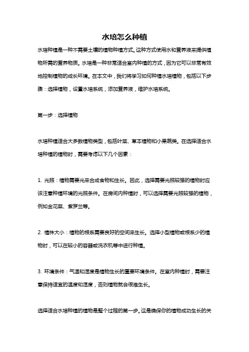 水培怎么种植