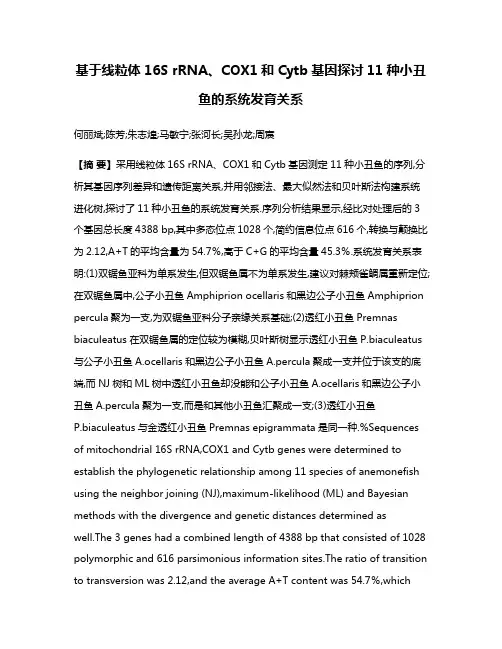 基于线粒体16S rRNA、COX1和Cytb基因探讨11种小丑鱼的系统发育关系