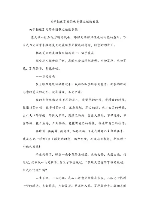 描述夏天的优美散文精选5篇