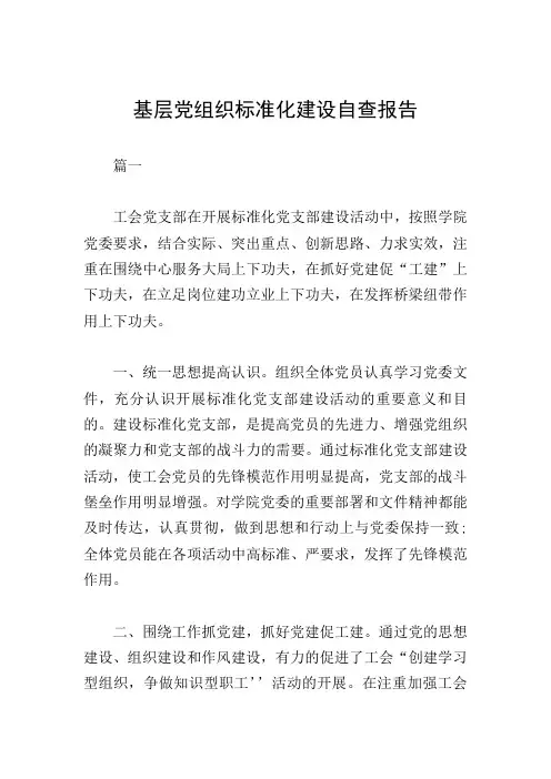 基层党组织标准化建设自查报告