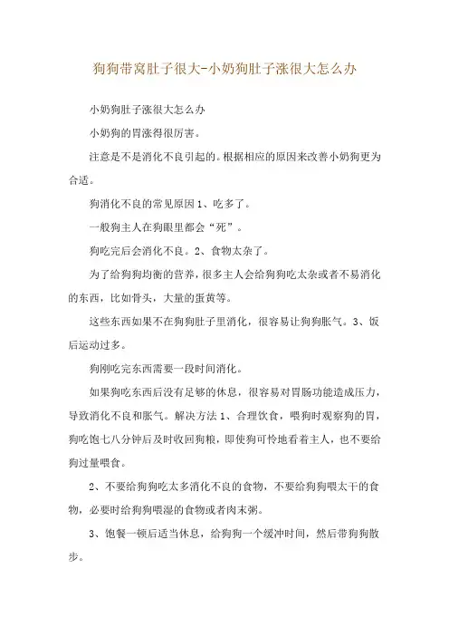 狗狗带窝肚子很大-小奶狗肚子涨很大怎么办