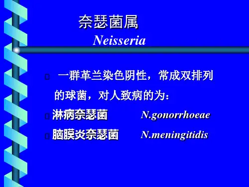 教学课件 医学微生物学  奈瑟菌属1
