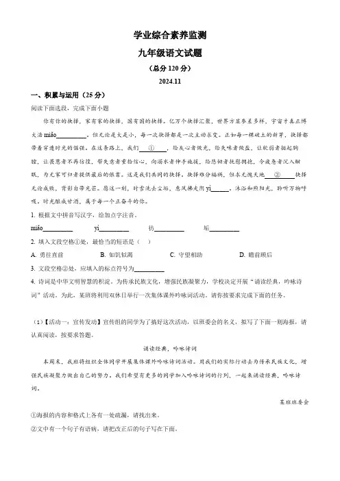 山东省枣庄市薛城区2024-2025学年九年级上学期期中语文试题(含答案)