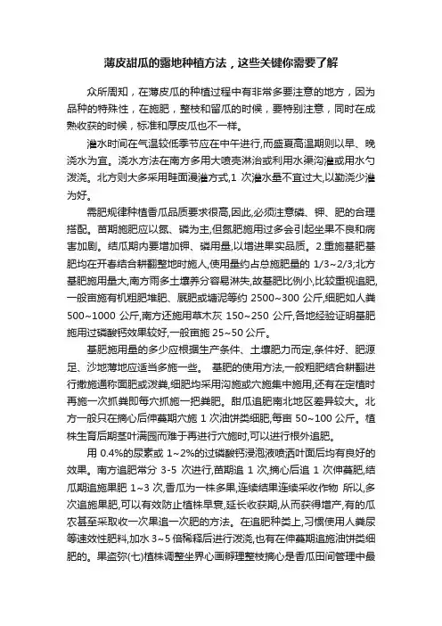 薄皮甜瓜的露地种植方法，这些关键你需要了解