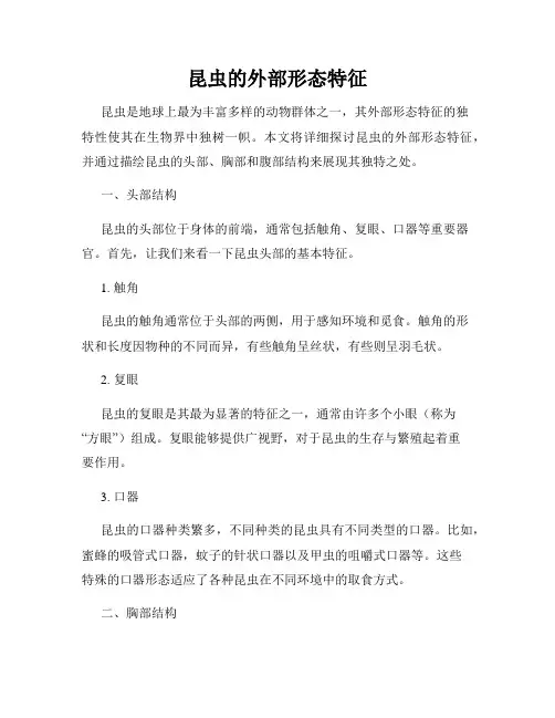 昆虫的外部形态特征