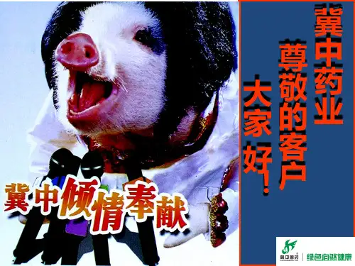 霉菌毒素管理PPT课件