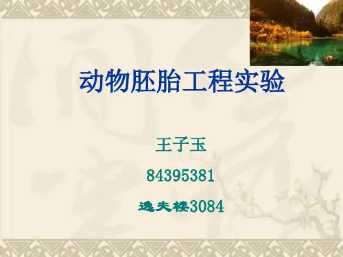 11胚胎工程实验之体外受精
