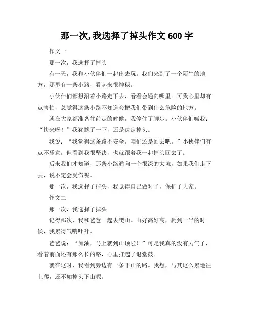 那一次,我选择了掉头作文600字