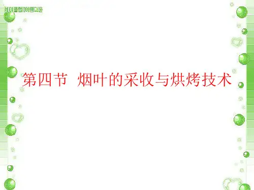 第九章第四节烟叶的采收与烘烤技术
