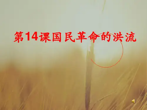 最新-八年级历史上册 第三单元 第14课国民革命的洪流课件 北师大版 精品 