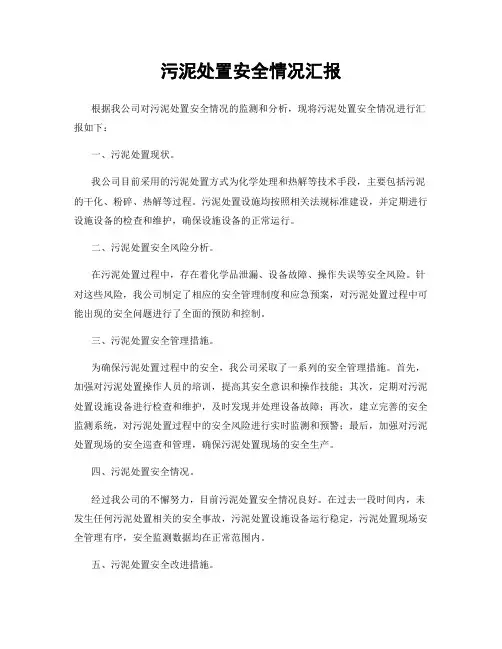 污泥处置安全情况汇报
