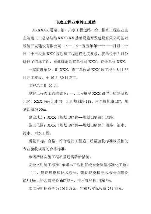 市政工程业主竣工总结.doc