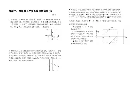 带电粒子在复合场中的运动大题专题(详细解答)