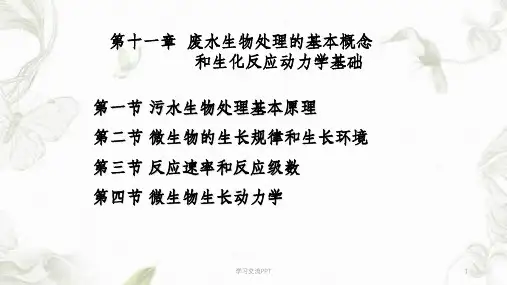 污水生物处理的基本概念生化反应动力学基础课件