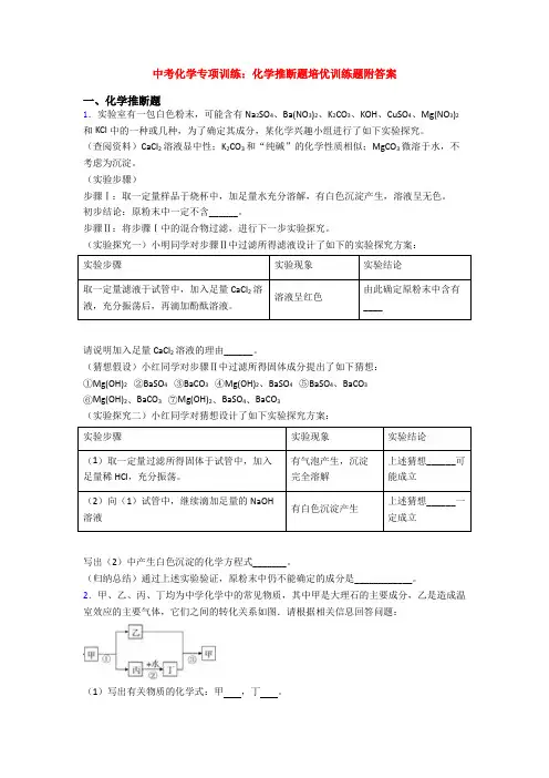 中考化学专项训练：化学推断题培优训练题附答案