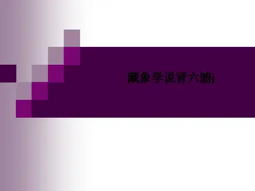 藏象学说肾六腑j