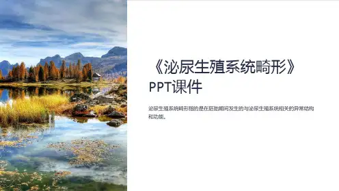 《泌尿生殖系统畸形》课件