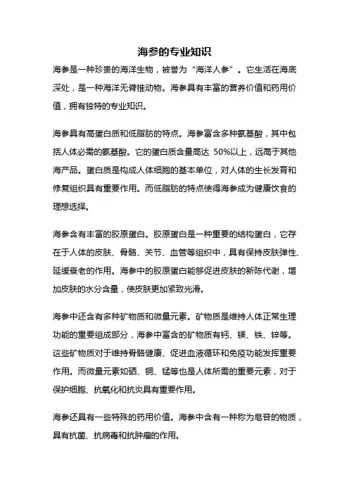 海参的专业知识