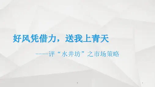 《水井坊策划方案》PPT课件