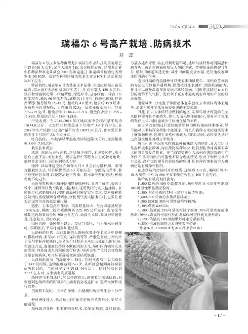 瑞福尔6号高产栽培、防病技术