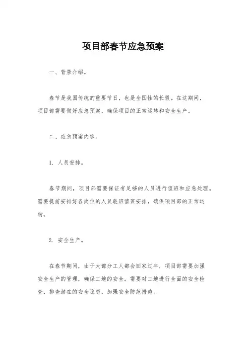 项目部春节应急预案