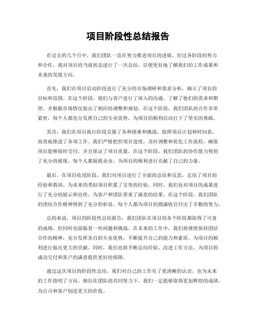 项目阶段性总结报告
