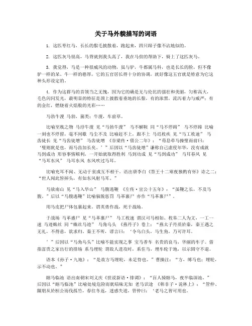 关于马外貌描写的词语