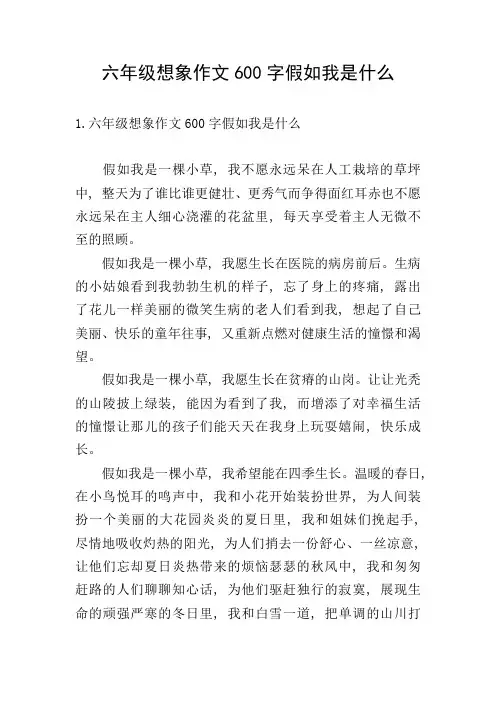 六年级想象作文600字假如我是什么