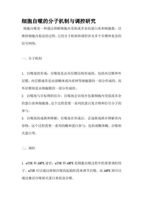 细胞自噬的分子机制与调控研究