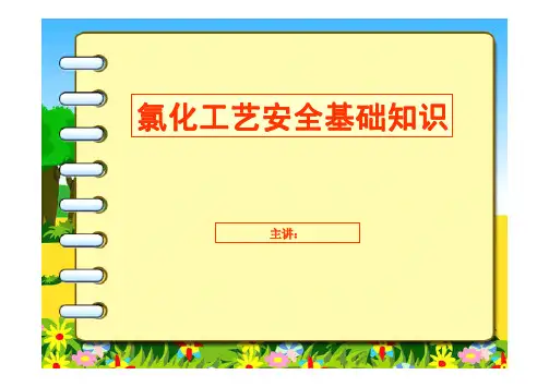 氯化工艺教学课件